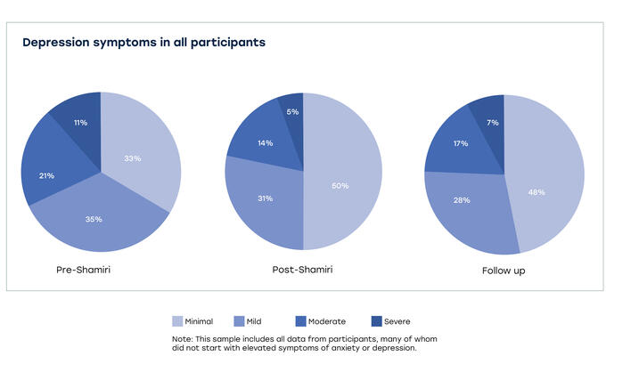 Graph of depression symptoms of all participants